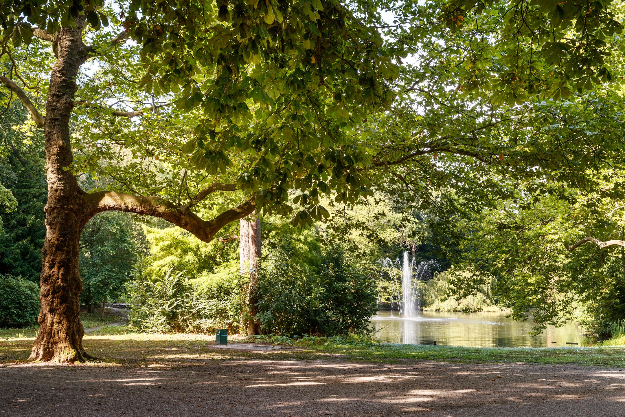 Foto 36 van Anjelierstraat 2