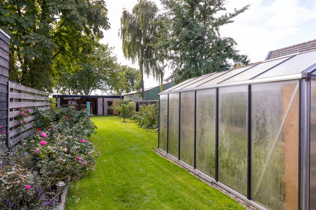 Photo 17 of De Buurt 109
