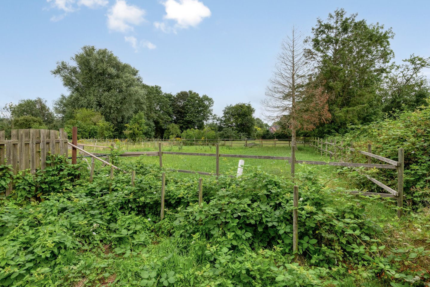 Foto 49 van Lagestraat 10