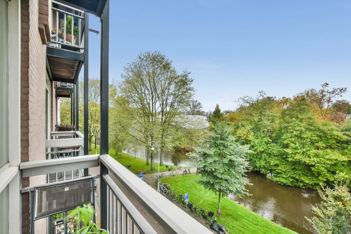 Foto 6 van Hortusplantsoen 42