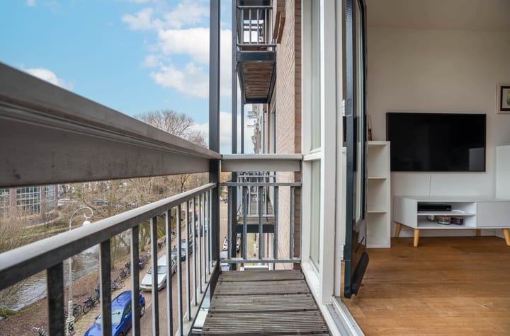 Foto 5 van Hortusplantsoen 42