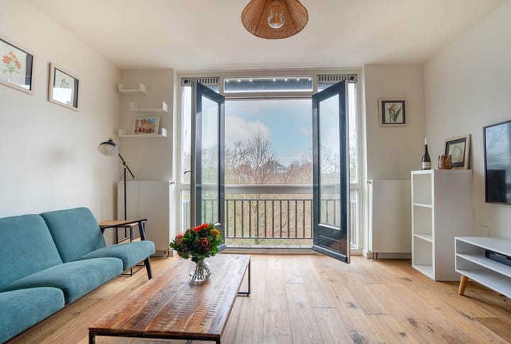 Foto 2 van Hortusplantsoen 42