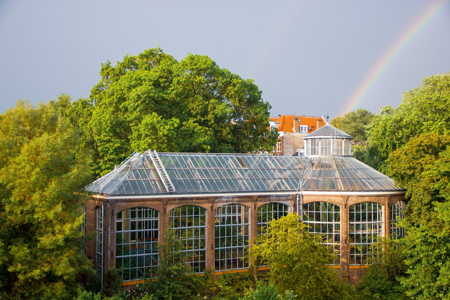 Foto 1 van Hortusplantsoen 42