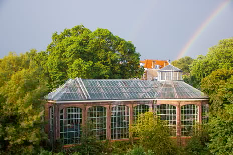 Hortusplantsoen thumbnail