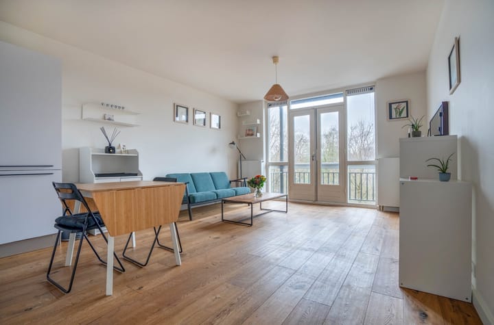 Foto 3 van Hortusplantsoen 42