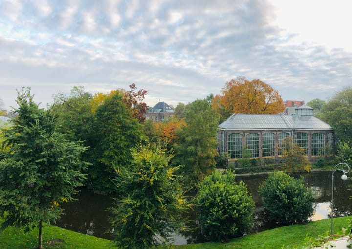 Foto 31 van Hortusplantsoen 42