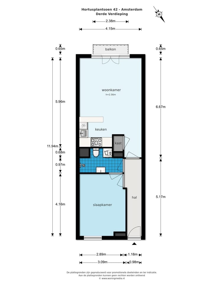 Foto 18 van Hortusplantsoen 42