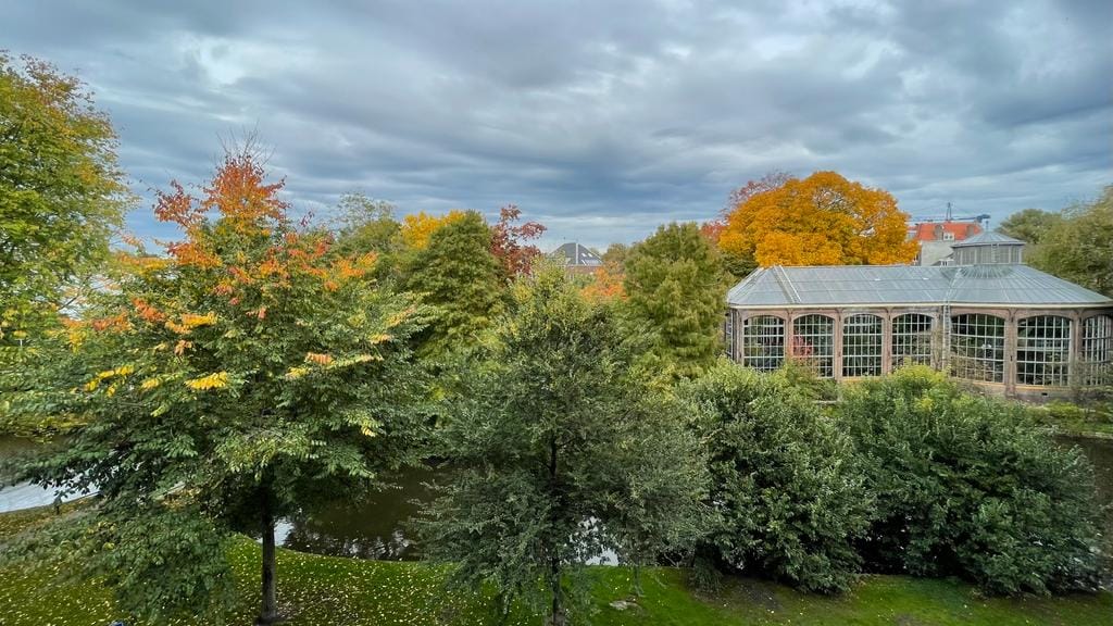 Photo 28 of Hortusplantsoen 42