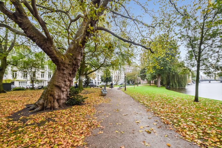 Foto 32 van Hortusplantsoen 42