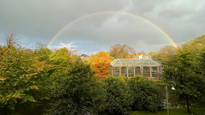 Foto 29 van Hortusplantsoen 42