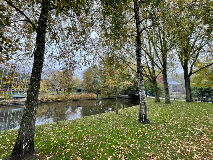 Foto 27 van Hortusplantsoen 42