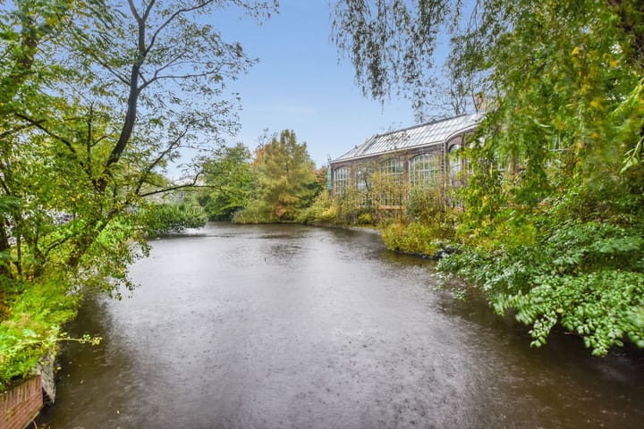 Foto 30 van Hortusplantsoen 42