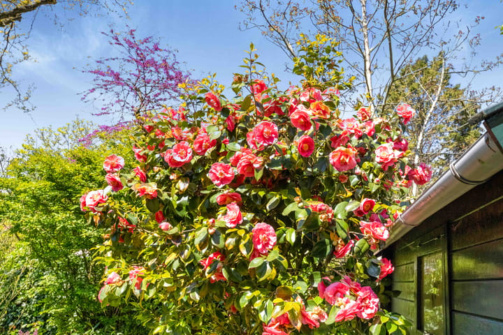 Spacious and charming family home with potential in Bilthoven South — 49