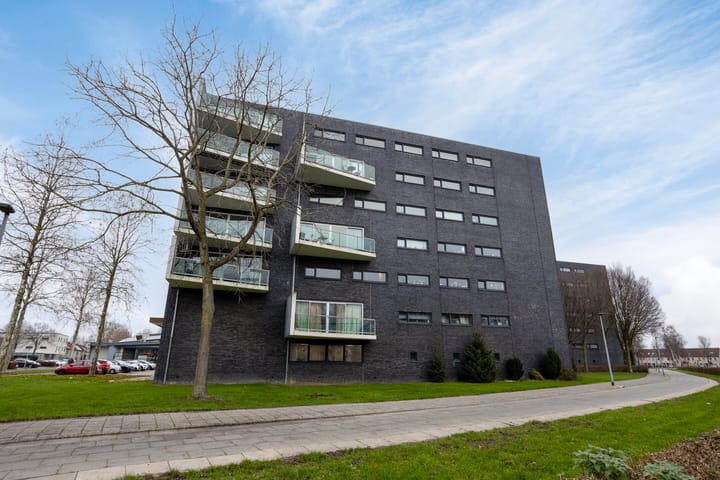Salsastraat 145