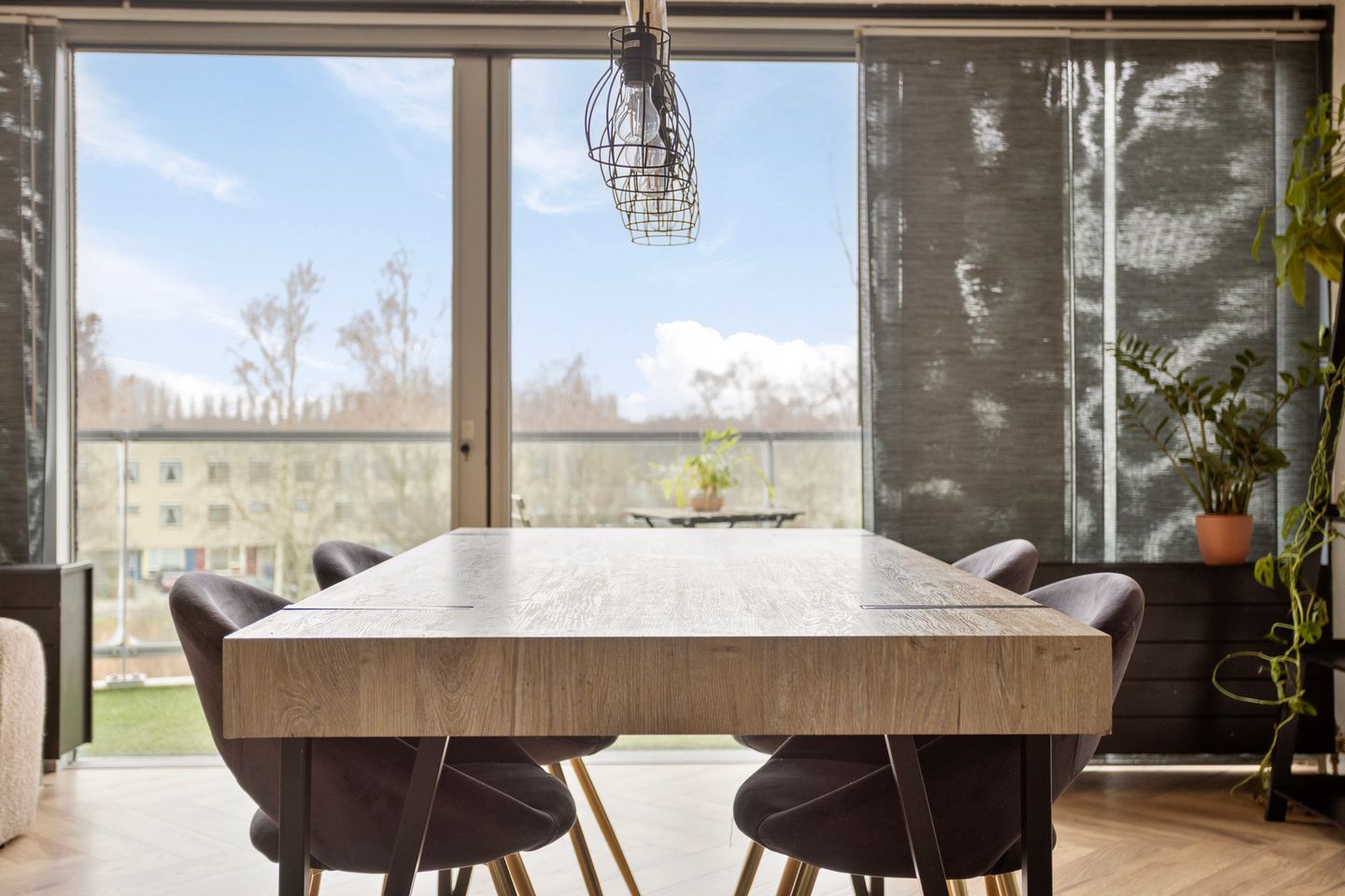 Foto 14 van Salsastraat 145