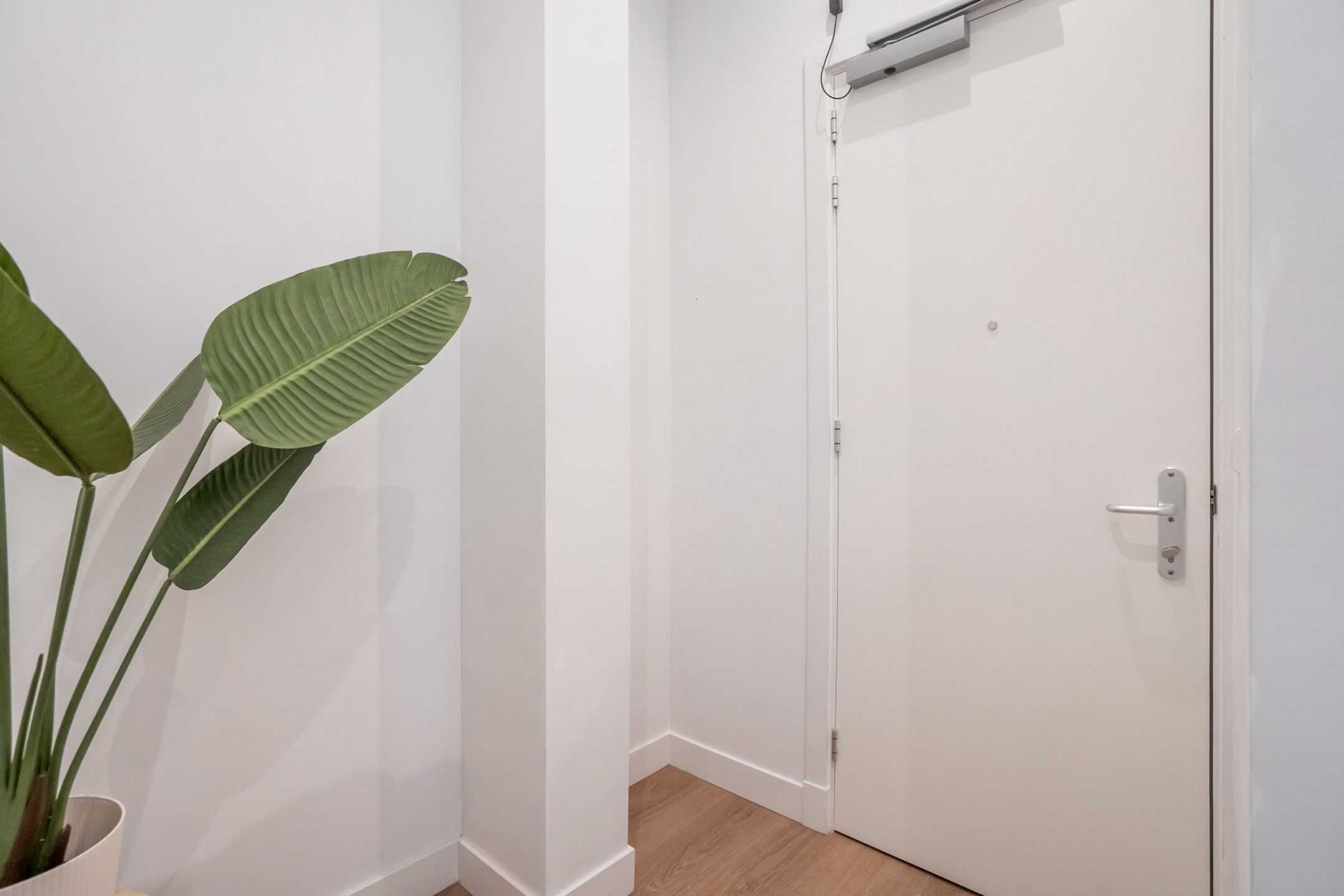 Foto 21 van Kruisstraat 42