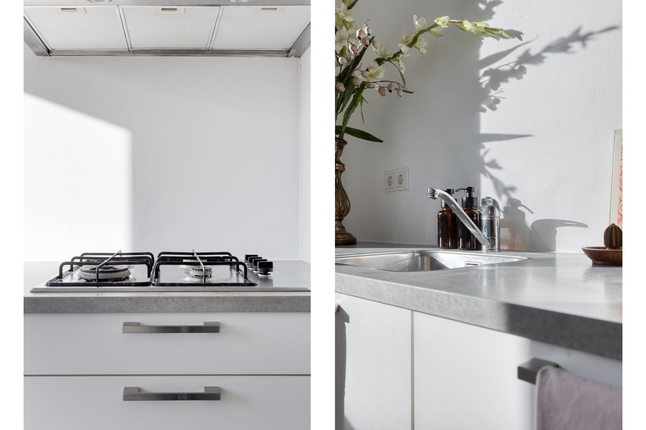 Foto 12 van Lion Cachethof 20