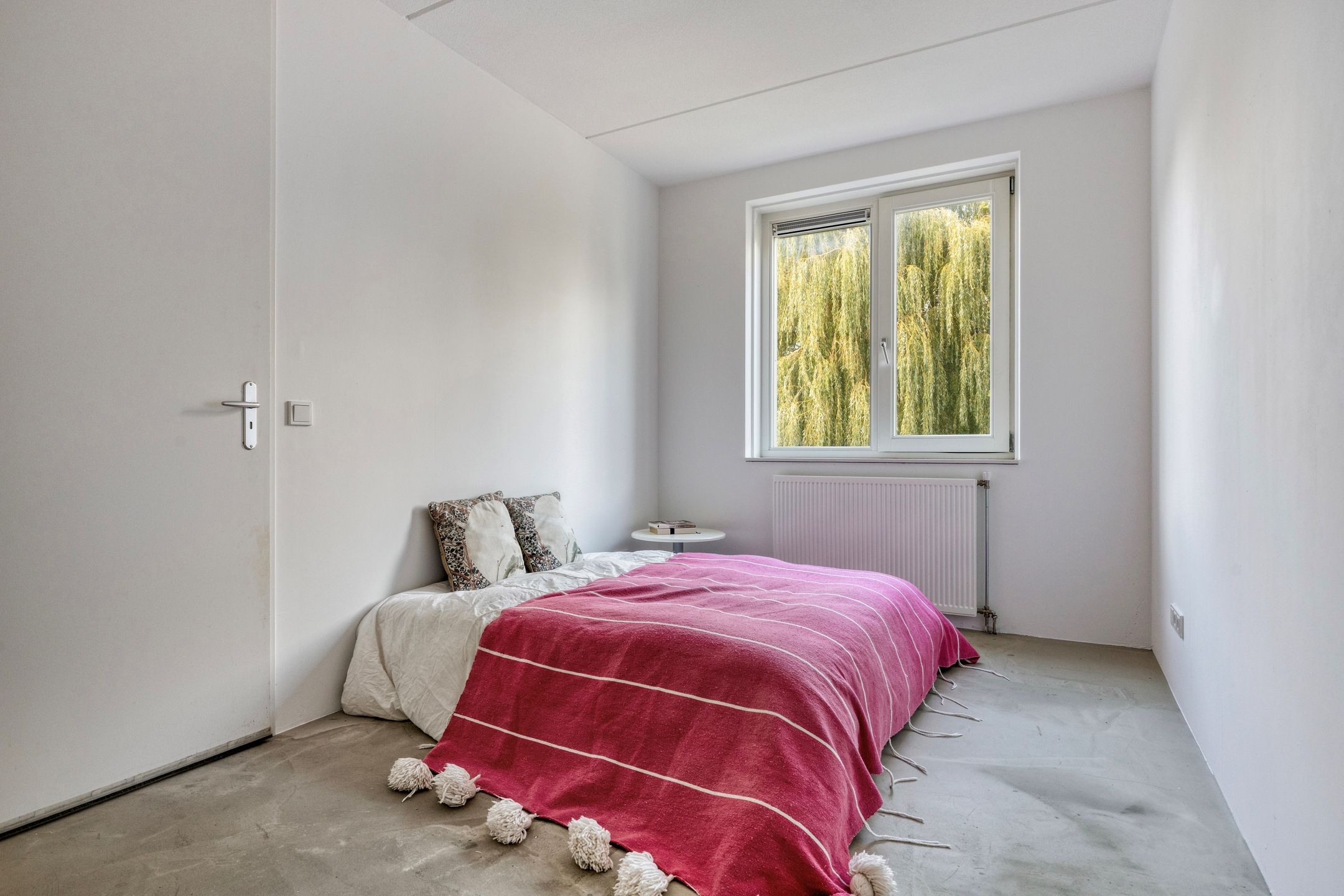 Foto 18 van Lion Cachethof 20