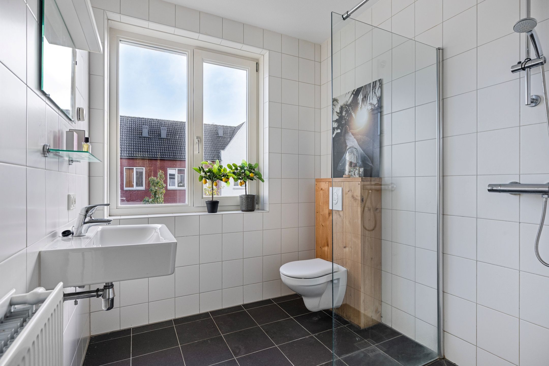 Foto 21 van Lion Cachethof 20