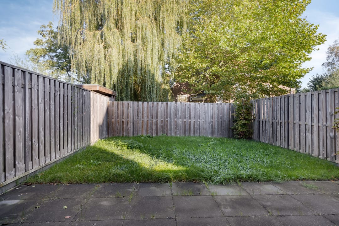 Foto 28 van Lion Cachethof 20