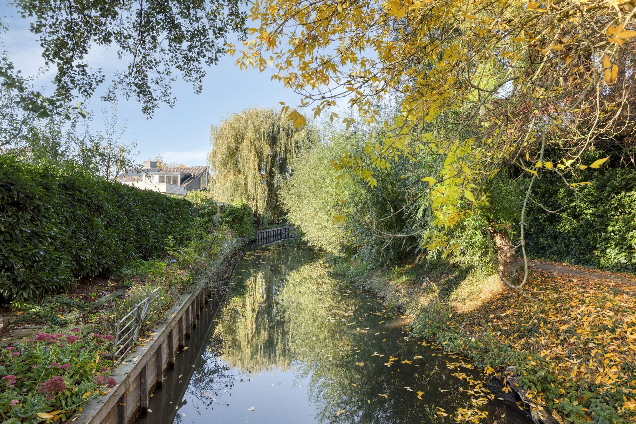 Foto 30 van Lion Cachethof 20