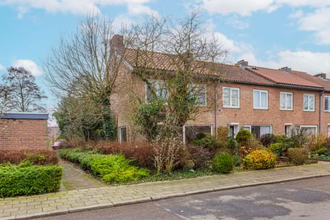 Meeuwenstraat thumbnail