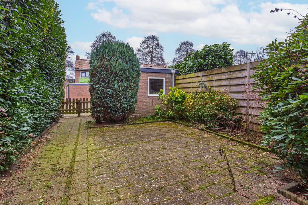 Foto 17 van Meeuwenstraat 11