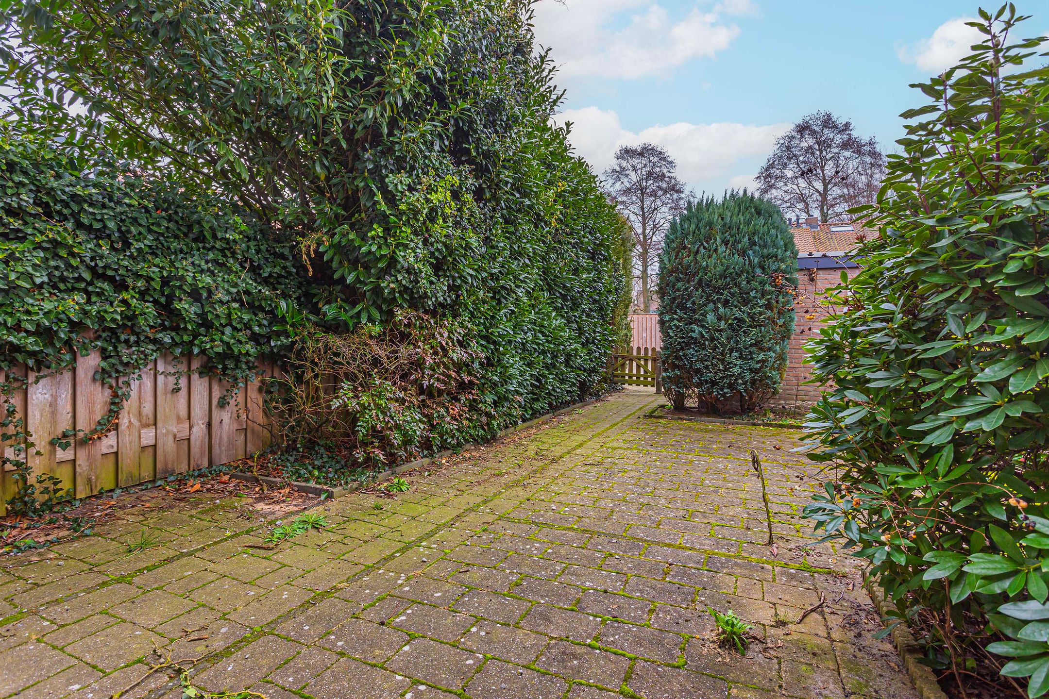 Foto 18 van Meeuwenstraat 11