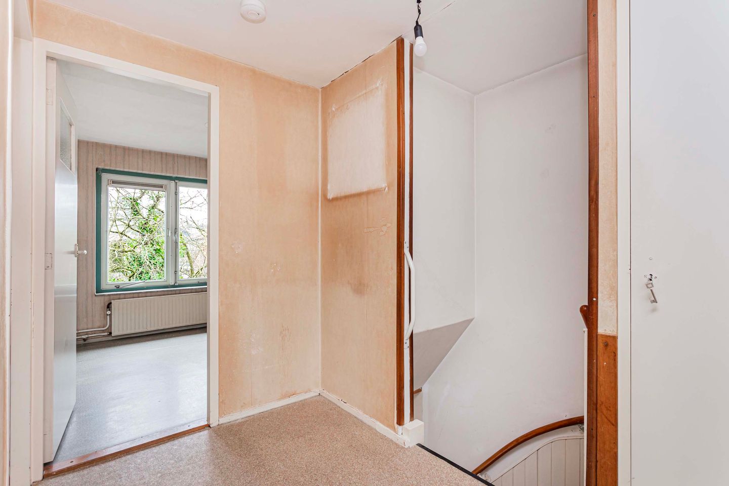 Foto 20 van Meeuwenstraat 11