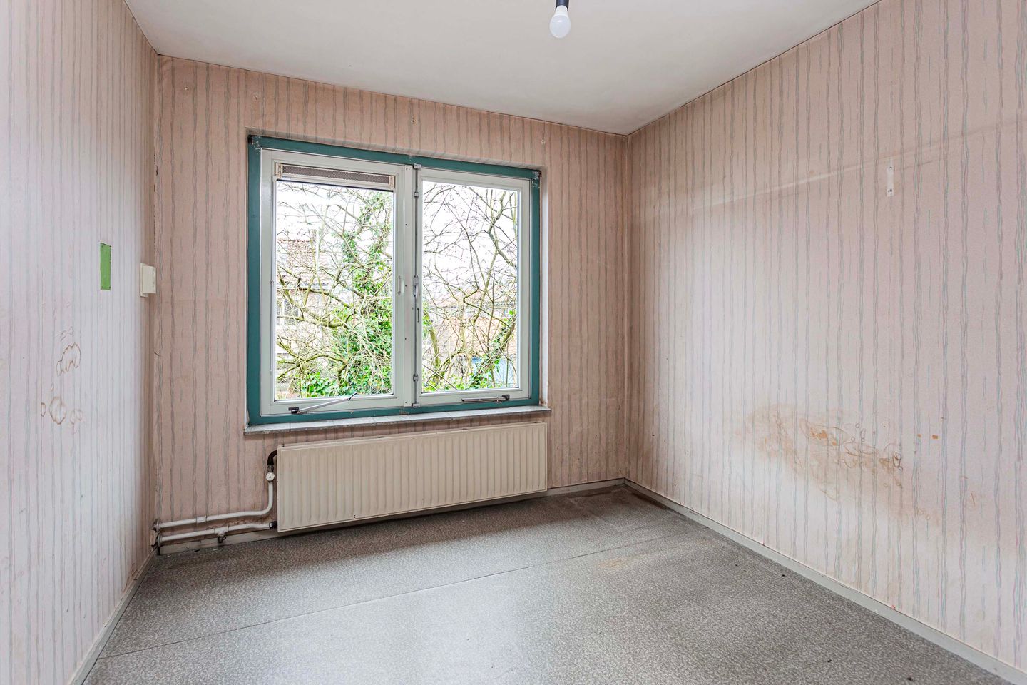 Foto 25 van Meeuwenstraat 11