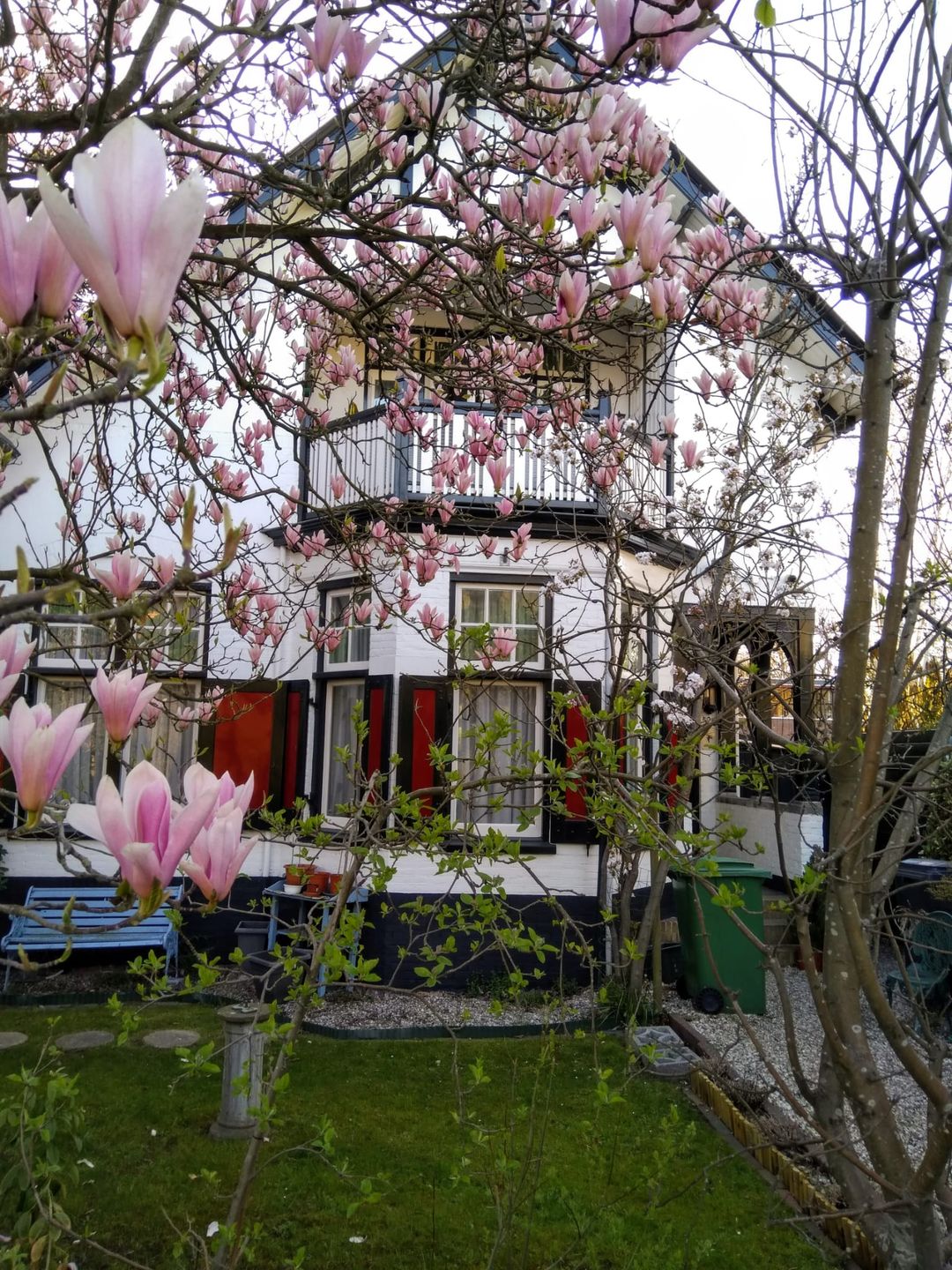 Foto 31 van Leidsevaart 520