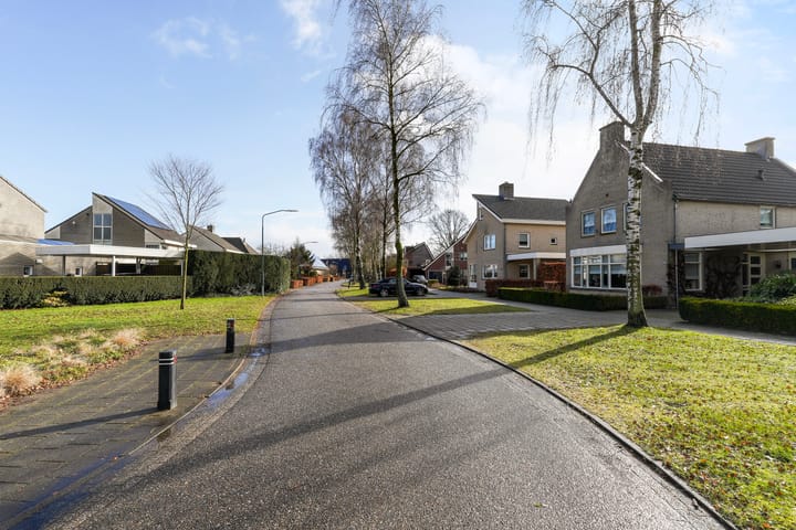 Foto 2 van Munsel 82