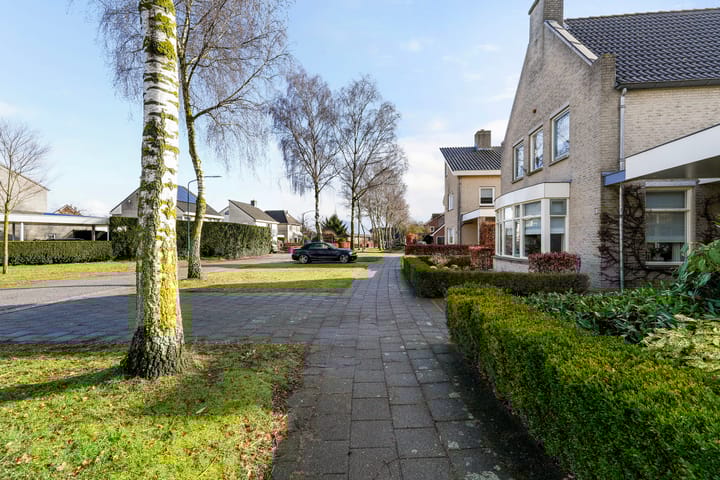 Foto 4 van Munsel 82