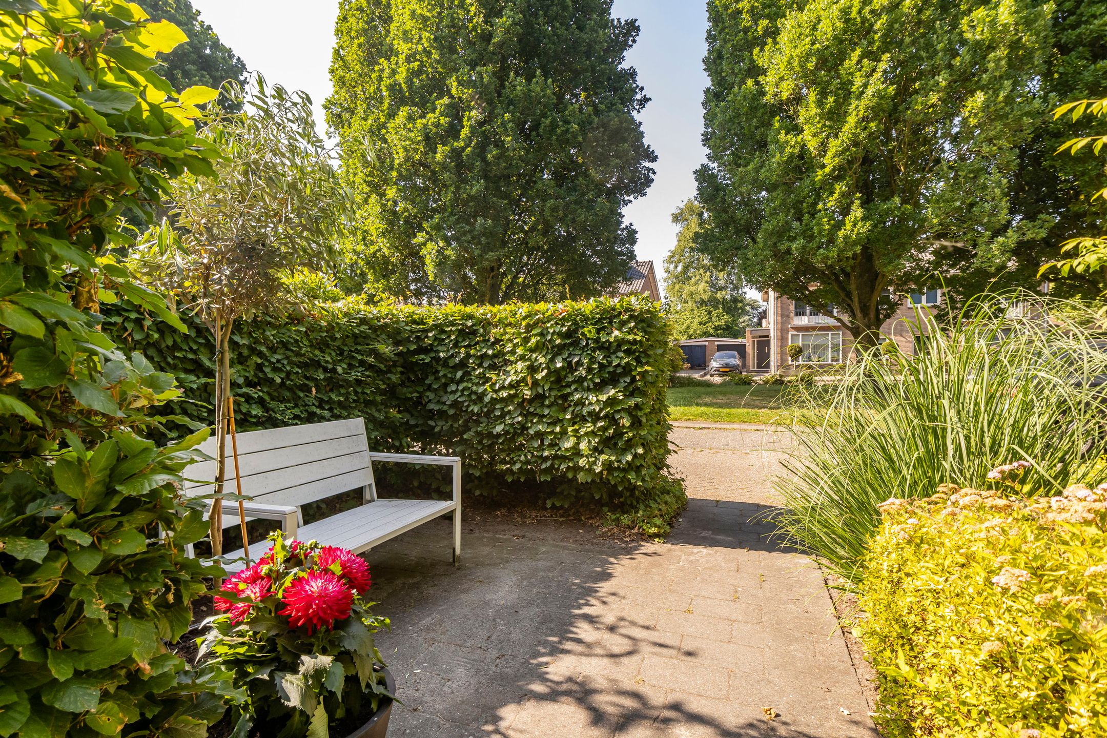 Foto 33 van Dr. de Visserstraat 46