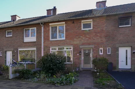 Berkenlaan thumbnail