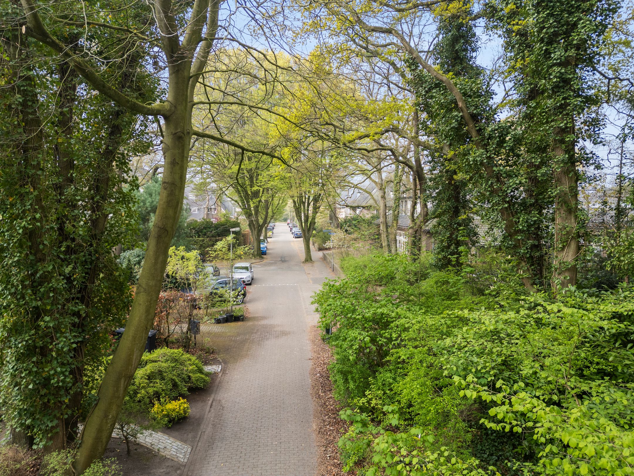 Foto 54 van Nicolaas Beetspad 4