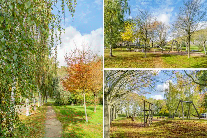 Photo 52 of Gravenland 10