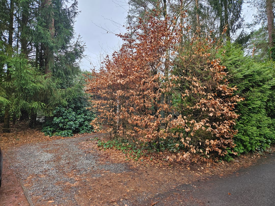 Foto 23 van Ploegdijk 2-H307A