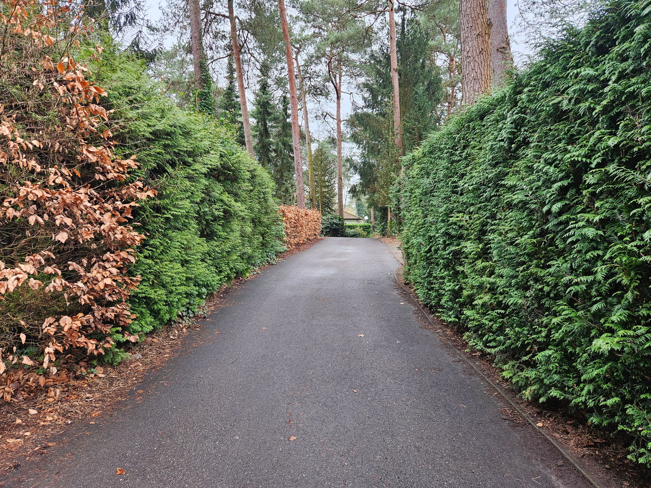 Foto 24 van Ploegdijk 2-H307A