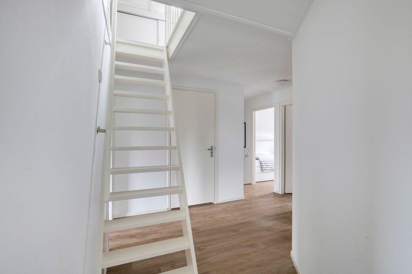 Foto 40 van De Ruiter 11