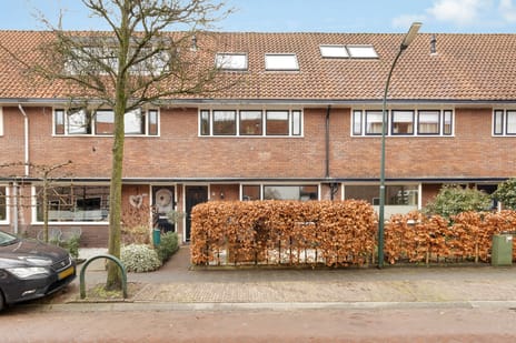 S. Hoogewerffstraat thumbnail