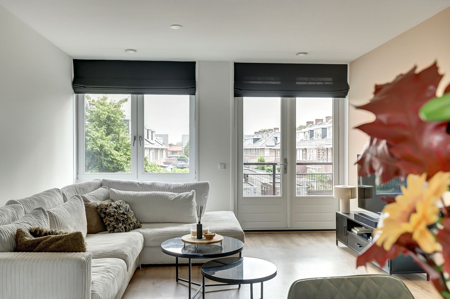 Photo 14 of Woestijnvalk 14