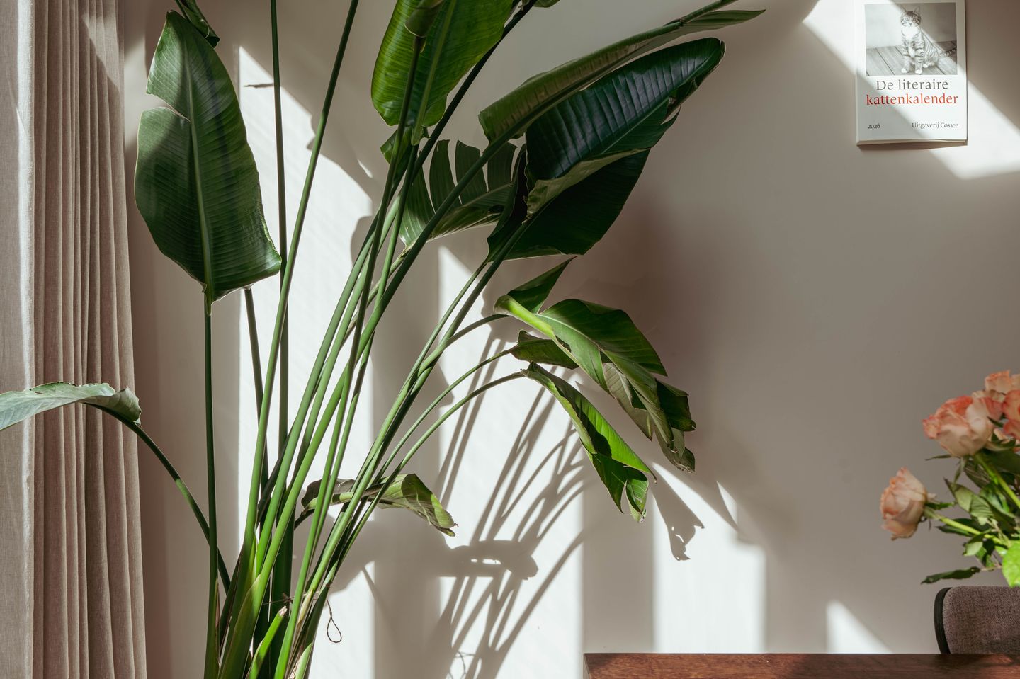 Foto 20 van John Franklinstraat 67-H