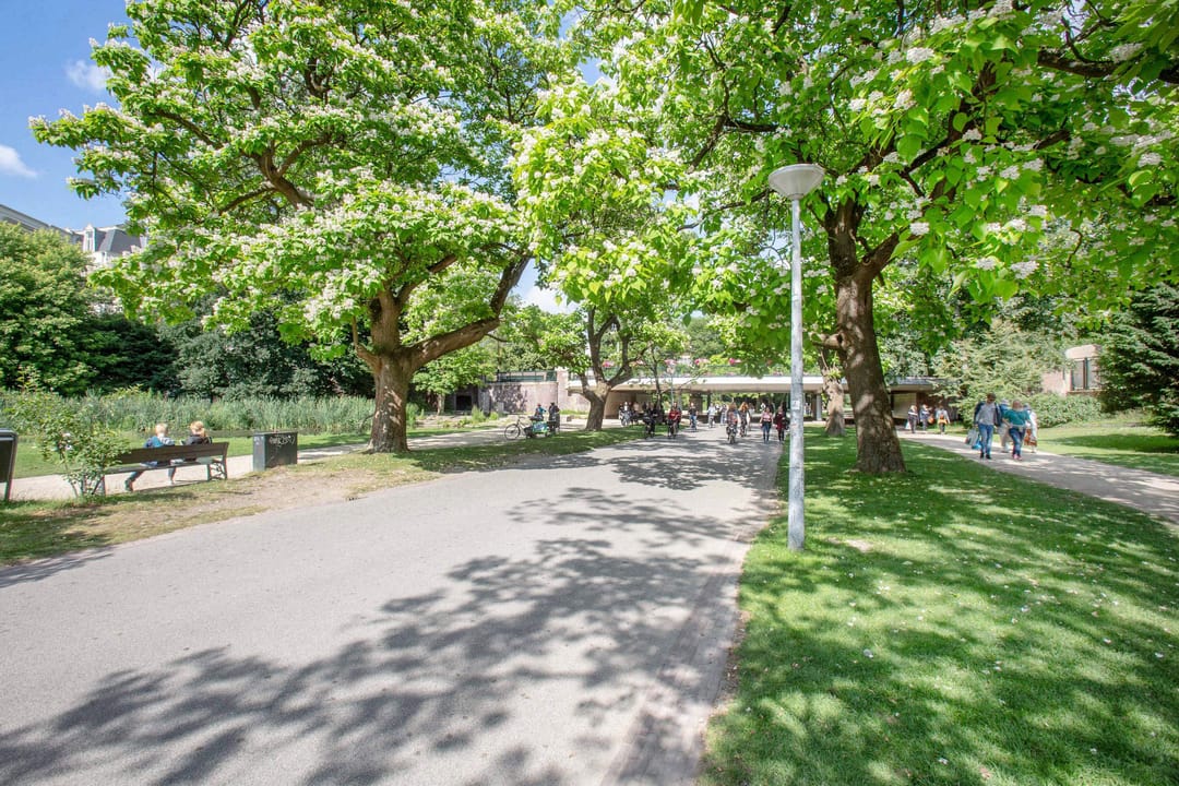 Photo 38 of Crynssenstraat 54-H