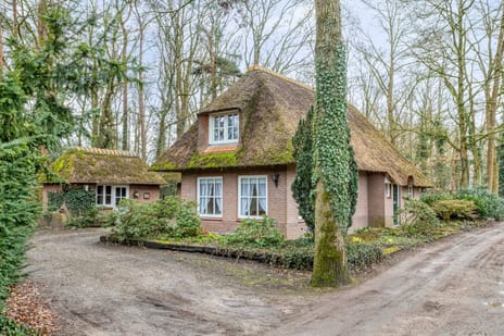 Berghumerstraat thumbnail