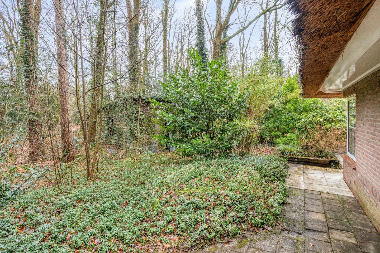 Photo 35 of Berghumerstraat 36