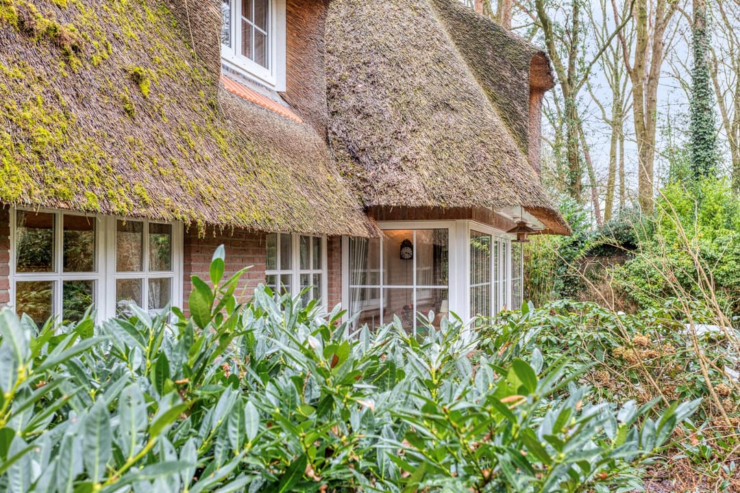 Photo 43 of Berghumerstraat 36