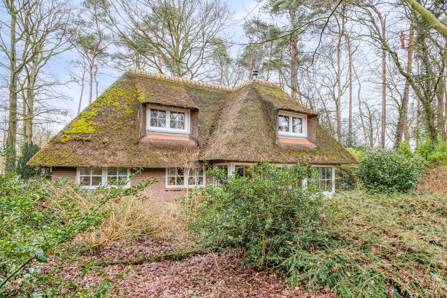 Photo 44 of Berghumerstraat 36