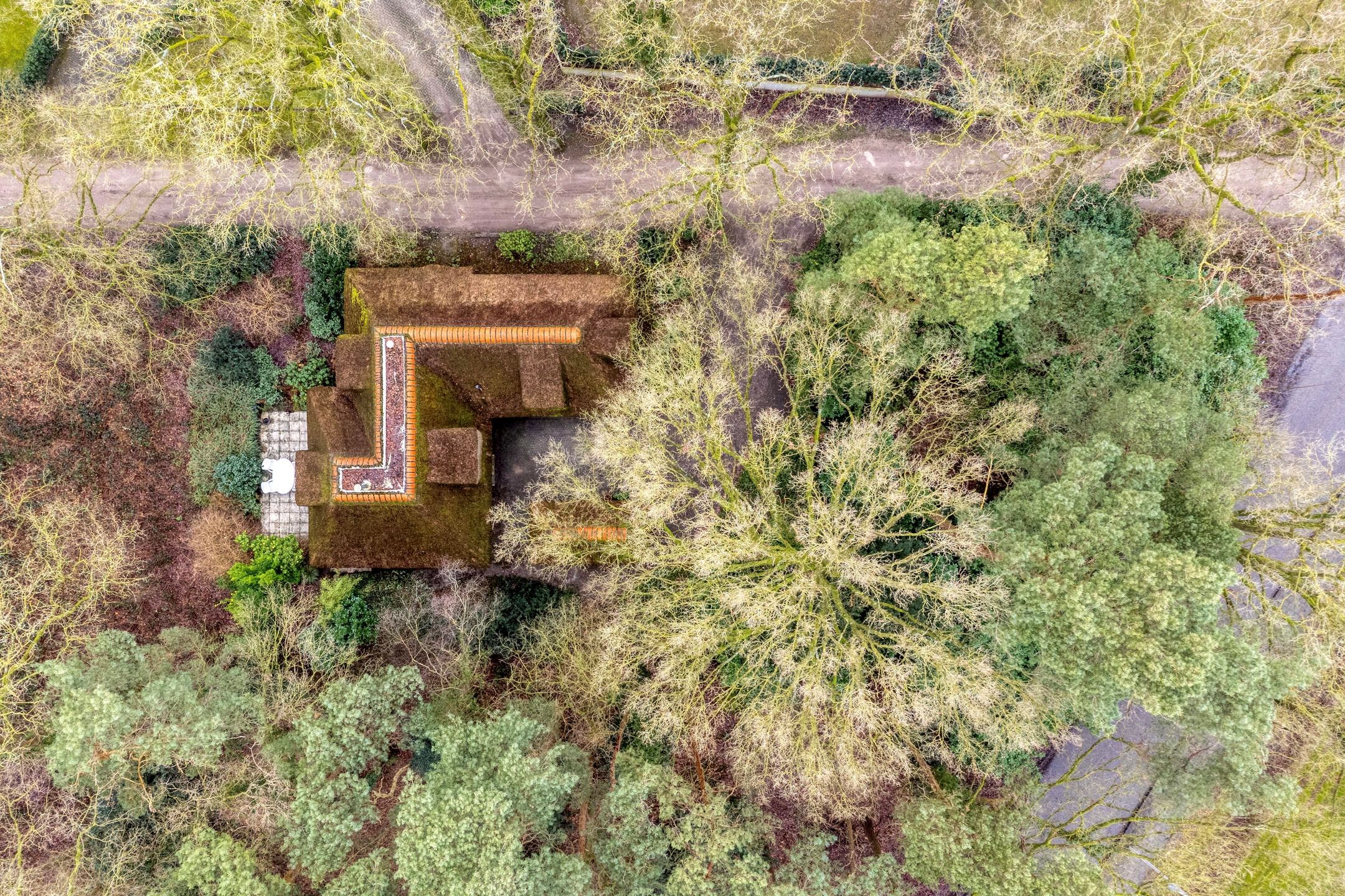 Photo 51 of Berghumerstraat 36