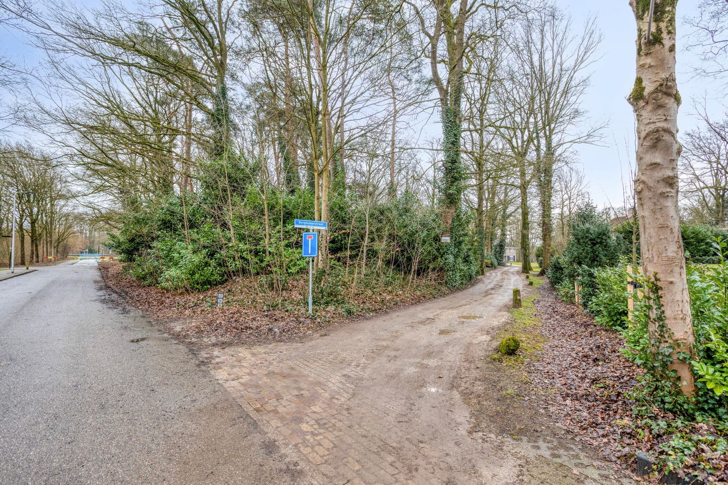 Photo 55 of Berghumerstraat 36